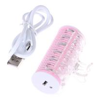 Usb Electric Hair Roller Bangs Curling Hair Styling Tool Hairdressing Roller