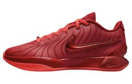 Nike LeBron 21 James Gang HF5951-600 41