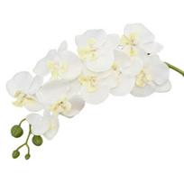 Dirbtinės orchidėjų gėlės ilgais stiebais, realistiškos Phalaenopsis orchidėjos, nereikalaujančios priežiūros, aksominiai žiedlapiai, dirbtinė gėlė, namų dekoras