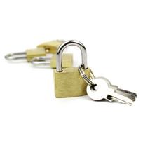 Anti-theft Padlock Copper Durable Brass Padlock Travel Luggage Locks auksas