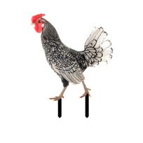 Realistiškos vištienos statulos, akriliniai gaidžių gyvulių kuolai, gyvūnų skulptūrų dekoras, vištienos ornamentai kiemo meno dekoras kiemo terasai One Size
