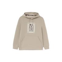 Li Ning Sweatshirts Men's Brown Hooded Moderate Regular AWDS193-2 L