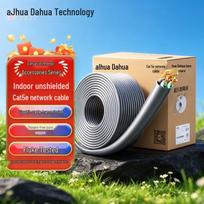 Dahua Cat5e Pure Copper PoE Network Cable CN plug (adapter included)
