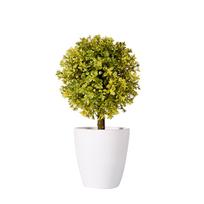 Vazoninis Buxus Box Rutulinis augalas Dekoratyvinis dirbtinis vidinis lauko sodo vazonas geltona