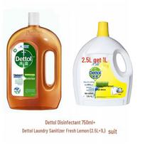 Dettol Dezinfekcinis ir skalbinių dezinfekavimo priemonių rinkinys