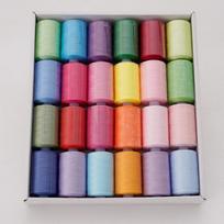 24 ritės poliesterio buitinių siuvimo siūlų rinkinys, 1000 jardų, pritaikomos spalvos