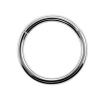1 vnt. G23 titano segmentinis žiedas su vyriu nosies žiedas auskaras spenelio ausies pertvaros tragus kremzlės clicker lūpų kūno papuošalas 14G 16G 2.0x16mm