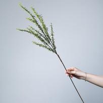 6pcs Plastic Rosemary Artificial Green Plants Restaurant Decoration Simulation Asparagus Fern Leaf Branch Plant Room Decorative