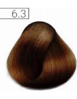 Absoluk plaukų dažai su keratinu Absoluk Permanent Cream 6.3 100ml