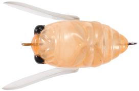 TIEMCO TIEMCO Trick Trout Trout Micro Cicada #205 FL Clear 27mm/2.7g oranžinė
