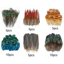 40/48Pcs 6 Styles Natural Feathers Bulk Assorted Peacock Feathers  Crafting Supplies 40Pcs