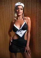 Daring Intimates French Maid Roleplay Set - Elegant Mesh Dress & Lace Apron, Headpiece