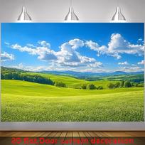 2D plane lush green fields and mountain blue sky backdrop garden party polyester fiber 47.2x31.5inch/120*80cm