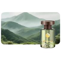 Car Perfume Air Freshener 110ml Car Interior Liquid Odor Perfume Lasting Ornament Vehicle Refreshing Diffuser Remover Air F H3O8