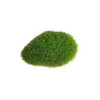 Imituotas samanų akmuo Mikro bonsai dekoracija Netikras samanų akmuo Dirbtinis pliušinis akmuo One Size