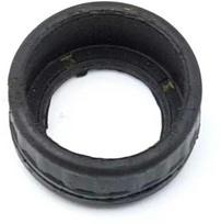 Dedra Guminis guolio dangtelis
