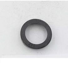 Dedra Guminis guolio dangtelis