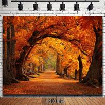 2D plane single piece. The background adopts the theme of autumn paths. Suitable for photography and events. 47.2x31.5inch/120*80cm