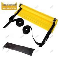Professional Agility Ladder with Carry Bag