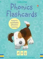 KNYGA Helen Wood Phonics Flashcards