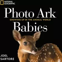 KNYGA Bookshop National Geographic Photo Ark Babies