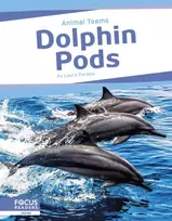 KNYGA Laura Perdew Dolphin Pods