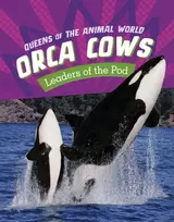 KNYGA Jaclyn Jaycox Orca Cows