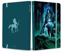 KNYGA Bookshop Harry Potter: Centaurs Softcover Notebook