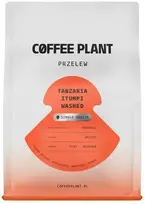 Coffee Plant KAVOS AUGALAS - Tanzanija Itumpi plautas filtras 250 g