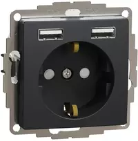 Kištukinis lizdas su įžeminimu Schneider Electric Sedna Design SDD114052 (antracitas, 2xUSB-A)