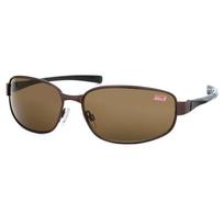 Coleman sunglasses CO2029-2 Japan FREE-(FREE size)