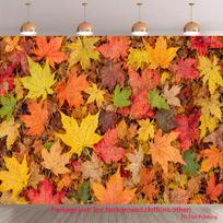 2D plane 1 piece of decoration featuring fallen leaves covering the ground theme 47.2x31.5inch/120*80cm