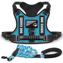 Pet Chest and Back Straps, Explosion-proof Nylon Leashes, Red Night Vision Reflective Dog Supplies XS mėlyna