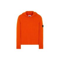 Stone Island Fw22 Solid Color Logo Hoodie Sweater Men sweater Orange 7715515D5-V0032 L