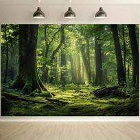 Background of large trees and leaves lush green leaves a forest under the bright sunlight and trees covered with moss 47.2x31.5inch/120*80cm