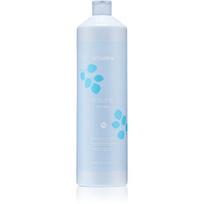 Echosline Volume Shampoo apimties suteikiantis šampūnas ploniems plaukams 1000 ml