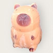 Kapibara- antistresinis žaislas squishy