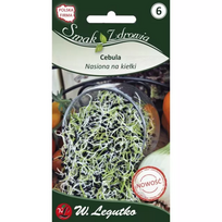 Sėklos daigams – svogūnai