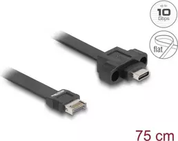 DeLOCK USB plokščias kabelis Type-E Key A 20 kontaktų vyriškas į USB Type-C moterišką 75 cm