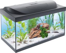 "Tetra Starter Line" 54 l akvariumo komplektas, įskaitant dieninį ir naktinį LED apšvietimą, vidinį filtrą, šildytuvą, žuvų maistą ir vandens kondicionierių