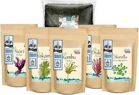 Ekologiškų dumblių ingredientų rinkinys „Starter“ pagal knygą „Vegan Ocean“ – 215 g | skirtas pradedantiesiems | džiovinti, skirti maisto gaminimui ir degustacijai