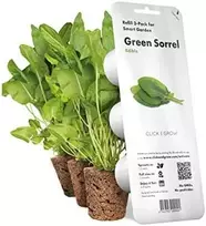 Click & Grow sėklos išmaniajam vazonui - Valgomoji rūgštynė (SGR55x3) 3vnt.