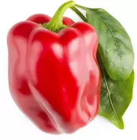 Click And Grow „Click & Grow Smart Garden“ papildymas: raudonosios saldžiosios paprikos, 3 vnt.