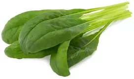 Click & Grow sėklos išmaniajam vazonui - Japoniškos garstyčios (Mibuna), 3vnt.