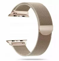 Tech-Protect laikrodžio dirželis MilaneseBand Apple Watch 38/40mm, auksinis