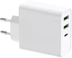 Kilimėlis Platinet įkroviklis USB/USB-C 65W (PLCUPD65W)