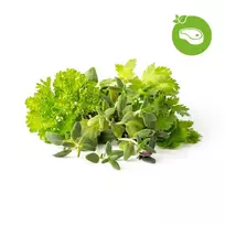 Click & Grow sėklos išmaniajam vazonui - Žolelės mėsai, 9vnt.