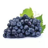 Mėlynosios vynuogės BON VIA