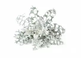 Click & Grow sėklos išmaniajam vazonui - Pilkšvalapė žilė (Dusty Miller), 3 vnt.