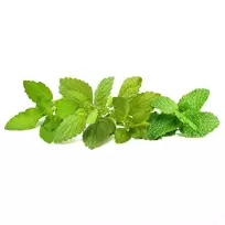 Click & Grow sėklos išmaniajam vazonui - Raminančių arbatinių žolelių mišinys (PPMCTX9) 9vnt.